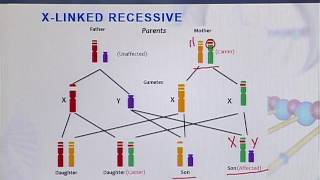 BIO301 Topic150