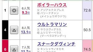 【競馬予想／自信度C／現在6番人気】2022年10月8日（土）阪神11レース大阪スポーツ杯◎ボイラーハウス【3連単2着固定20点／3連複1頭軸10点／合計30点で勝負！】