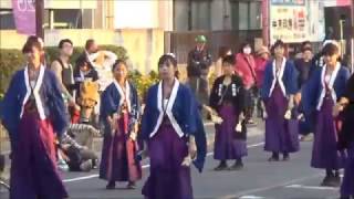 2016年度　よさこい陣屋まつり　（花影連）・・・まるひろ通り商店会（東松山市）