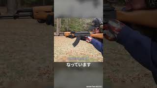 アリブレトリビア【SA85MカービンとAK】 #shorts