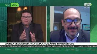 Justiça decide distância da plantação de transgênicos