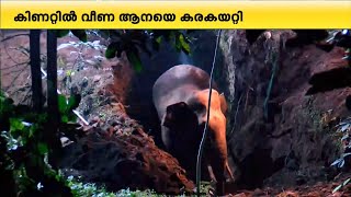 മലപ്പുറം ഊർങ്ങാട്ടിരിയിൽ കിണറ്റിൽ വീണ കാട്ടാനയെ കരയ്ക്കെത്തിച്ചു