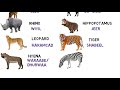 Wild Animals in Somali