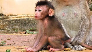 Raped child tries to run, but is banned by mother  ba  Monkey