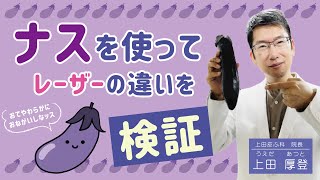 【検証】ナスを使ってレーザーの違いを検証してみました！〜長崎県大村市の上田皮ふ科