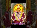 tarapithmandir tarapith kumbh mahakumbh2025 kalimaa kalipuja jaishreeram boromaanaihati youtube