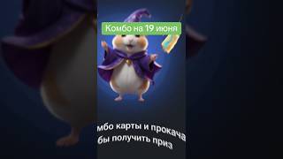 Hamster Kombat bugungi kombo #hamsterkombat #pultopish #notcoin #listing #dollar #tiktok #crypto