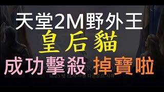 【天堂2M】剛玩兩小就巧遇野外王「皇后貓」,直接烙人擊殺,掉寶啦！｜小屁實況精華 Lineage 2 M 天2M BOSS