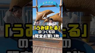 海ほたるで「う、み、ほ、た、る」のつくもの限定お買い物🤗#限定買い物 #海ほたる #旅行 #年子育児 #あおいちゃん #すみれちゃん #shorts