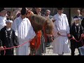 2024.10.10 高砂神社 秋祭り 神幸祭 陸渡御 出発 だんじり 引き戻し·押太鼓 中部屋台 ·神輿·一つ物 など 兵庫県高砂市