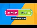 CSS :invalid & :valid Pseudo Selector !