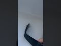 Apple watch series 3 ejecting water out