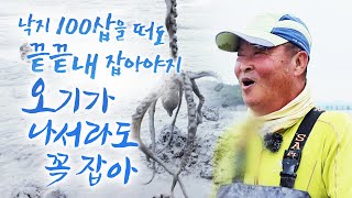 낙지 한마리 잡을려면 50삽 60삽 떠야 됩니다 얼마나 힘들겠어요? ㅎㅎ 하지만 나한테 언제나 내어주는 바다 참 고마운 바다죠~ 옛날에는 진짜 물반 고기반 이었는데 ㅠㅠ