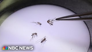 More than a third of states confirm cases of the West Nile virus