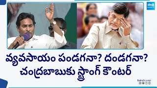 CM Jagan Strong Counter To Chandrababu At Yemmiganur Public Meeting | @SakshiTV