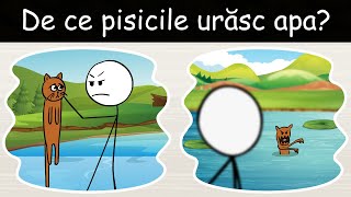 De Ce Pisicile Urăsc Apa? - DLJ#19