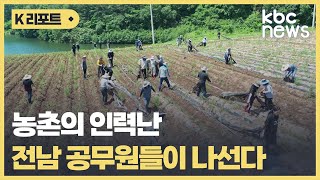 살인까지 번진 '농촌 인력난'..일손돕기 나선 공무원들 / KBC뉴스