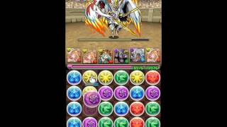 【パズドラ】第15回チャレンジダンジョンLv.8 光カーリー