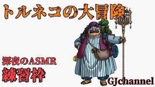 【GJ猫】練習！アドバイス求む