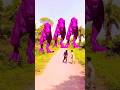 Big dinosour chase T-rex chasing part -211 #viralshorts #dinosaur #trendingshorts #youtube