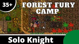 Forest Fury Camp [Solo Knight 35+]