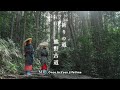 Walk the Magose pass on the Kumano Kodo trail, UNESCO World heritage site