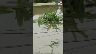 Heavy rains leave a trail of destruction in Pathanamthitta - TV9