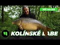 Kolínské Labe | Jirka 