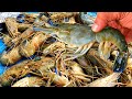 Biggest River Shrimp Cleaning And Cooking | Giant Prawns Recipe | How To Clean And Cook Big Shrimp