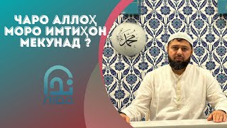 ЧАРО АЛЛОҲ МОРО ИМТИҲОН МЕКУНАД? چرا الله مارا امتحان ميكند?