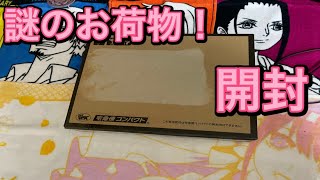 Anime Store.JPからお荷物！ 東京リベンジャーズ 描き下ろし アクリルスタンド 開封