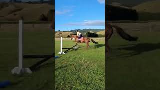 Little baby jumps on Aalayah #horse #pony #eq #equestrian #jumping