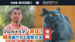 プロカメラマン直伝！猫の撮り方と調整方法【後編】