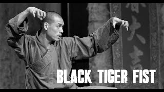 少林黑虎拳 Black Tiger Fist by Shi Deqian (part 3)