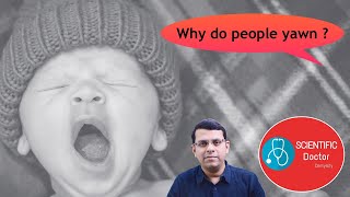 Why do people yawn ?