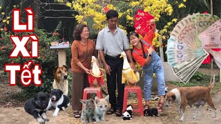 Lần Đầu Lì Xì cho Mẹ Cha. Bim Bim, Mao Mao bận áo bà ba Chó, Mèo Cùng Quậy