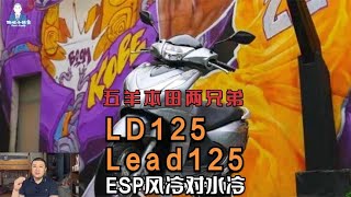 五羊本田自家兄弟对比，LD125和LEAD125，ESP风冷与水冷，怎么选