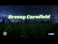 💨 Gusts of Wind Blowing Through a Cornfield ⨀ No Dark Screen ⨀ Relaxing Sounds of Weather