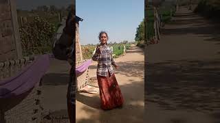 માર જોડે વિમલ ખાવા માગે #viralvideo #timali #shorts  adivasi chori dance