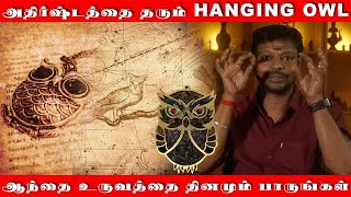 அதிர்ஷ்டத்தை  அள்ளித்தரும் ஆந்தை | இந்த HANGING OWL வீட்டில் இருந்தால்  தினம் தினம் அதிர்ஷ்டம் தான்