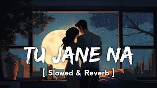 Tu Jaane Naa - Lofi Mix | Ajab Prem Ki Ghazab Kahani | Ranbir Kapoor | Katrina Kaif | Atif Aslam