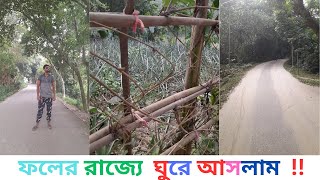 নরসিংদীর ফলের রাজ্য দেখে আসলাম । I came to see the fruit kingdom of Narsingdi .