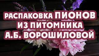 Распаковка хрупких  снаружи и мощных внутри.  На пи начинается, на оны заканчивается😂 Угадали?