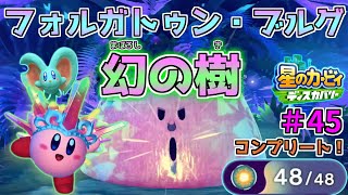 【幻の大樹を倒し、レオンのソウルを手に入れろ！フォルガトゥン・ブルグ！】【星のカービィ ディスカバリー】実況プレイ#45