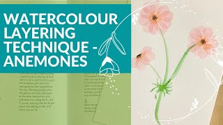LAYERED WATERCOLOUR ANEMONE FLOWERS | NEW BOTANICAL WATERCOLOUR PAINTING TUTORIAL | ART TECHNIQUES