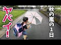 秋の嵐！雨の中登園に挑戦した日とおかの日記からのお知らせ