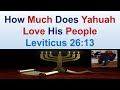 How Much Does Yahuah Love His People - Leviticus 26:13