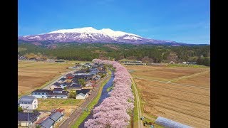 JG☆☆☆ 4K HDR 山形,遊佐中山の桜と鳥海山 Yamagata,Sakura at Nakayama and Mt.Chokai