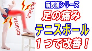 【足の痛み、しびれ】坐骨神経痛？テニスボール1つで改善させるストレッチその1｜大和市の整体 中央林間カイロプラクティック