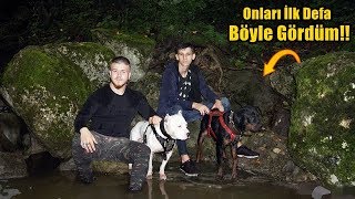 TYSON VE MARLA İLE ORMAN'IN DERİNLİKLERİNE İNDİK!! ( Tyson'ı Daha Önce Böyle Görmediniz!!)